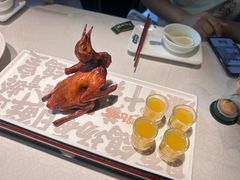 -大鸽饭(动物园店)