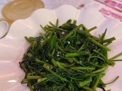 -阿英煲(凉城路店)