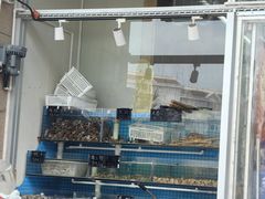 -北戴河庆山饭店·海鲜砂锅粥(北戴河黑石路店)