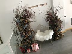 -执茶识麦(万达华府店)