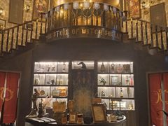 -雪灵魔法世界SHELLY’S TAROT(大良桂畔里店)
