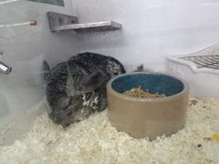 -三旗百汇商品城