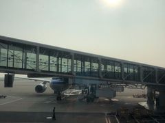 -上海浦东国际机场-T2航站楼