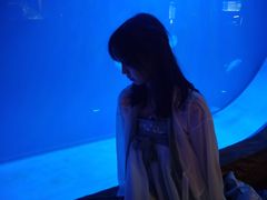 -西安华夏文旅水世界