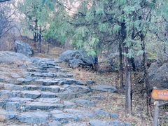 -阳台山自然风景区