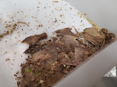 -淮南牛肉汤(荣巷店)