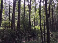 -驼梁风景区