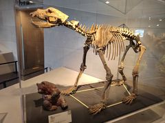 -北京周口店北京人遗址博物馆