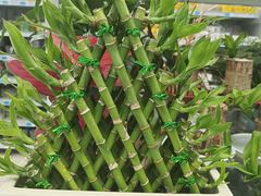 -大润发(浒关店)