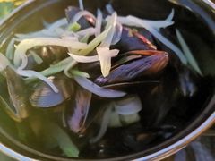 -Malena玛莲娜