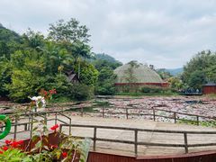 -野象谷景区