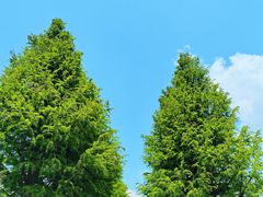 -嘉北郊野公园