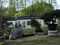 -上海醉白池公园