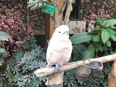 -南宫五洲植物乐园