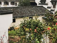 -婺源梦里老家大型山水实景演出