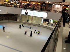 -TheRink大零溜冰场(IFS国金中心店)