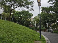 -清湖文化公园