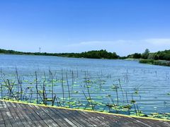 -东滩湿地公园观海楼餐厅