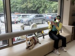 -虹泰宠物医院 ·旗舰店·24h(南秀路店)
