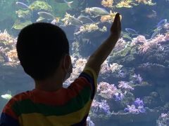 -斯坦星球AI编程·机器人科创·科学实验·信奥·思维·STEM·积木拼搭·竞赛考级(浦东联洋广场大拇指龙阳御桥中心)