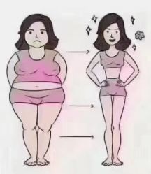 -香薇妮丝女子减肥院
