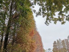 -华南国家植物园-售票处