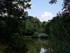 -南宁良凤江国家森林公园