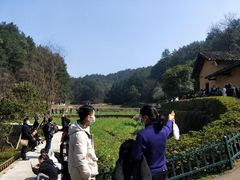 -秦巴石锅鱼(文化南路店)