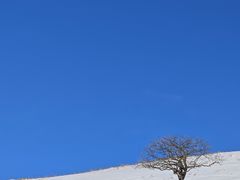 -终南山国家森林公园