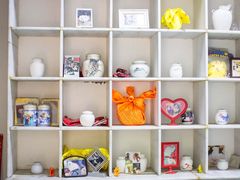 -彩虹桥宠物火化殡葬善终服务(金乐大厦店)