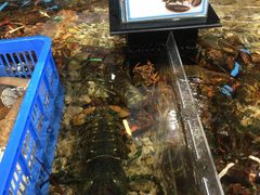 -盒马鲜生(曜一城店)
