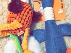 -翊宠yipet猫狗购宠庄园犬舍•猫舍