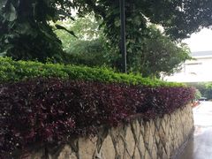 -厦门悦华酒店