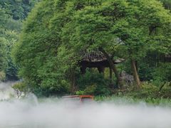 -广州市帽峰山景区