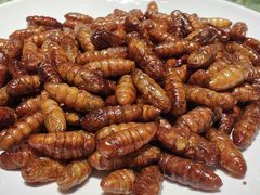 -金塔傣乡·云南民族特色菜·傣味手抓饭(金瓦路店)