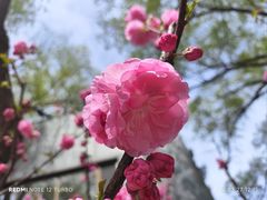 -元大都城垣遗址公园