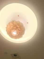 -奥丽维娅美容养生会所