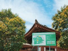 -西安青龙寺遗址景区