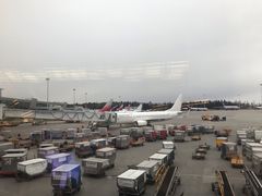 -谢列梅捷沃国际机场
