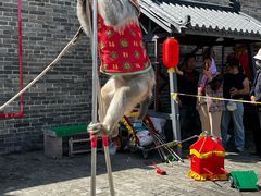 -魏氏庄园