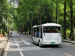 -青城山