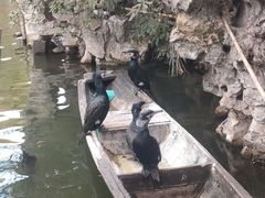 -南浔古镇