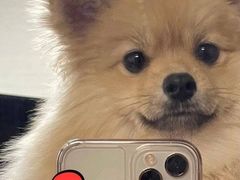 -百邦苹果官方授权维修(文景大厦店)