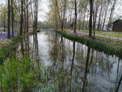 -溱湖国家湿地公园