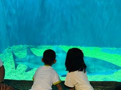 -华夏文旅海洋公园