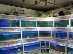 -黄记大闸蟹专卖店·活蟹·醉蟹
