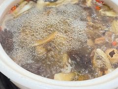 -蘑统田下·野生菌火锅