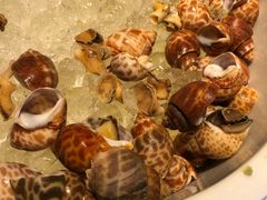 -广州富力君悦大酒店·凯菲厅