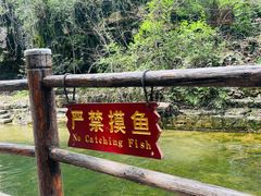 -黄花溪