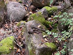 -玉渡山自然风景区
